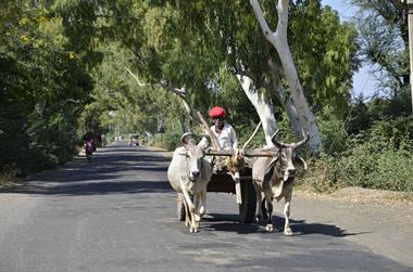 03 PKW-Reise_Ranakpur-Deogarh_DSC4676_b_H600